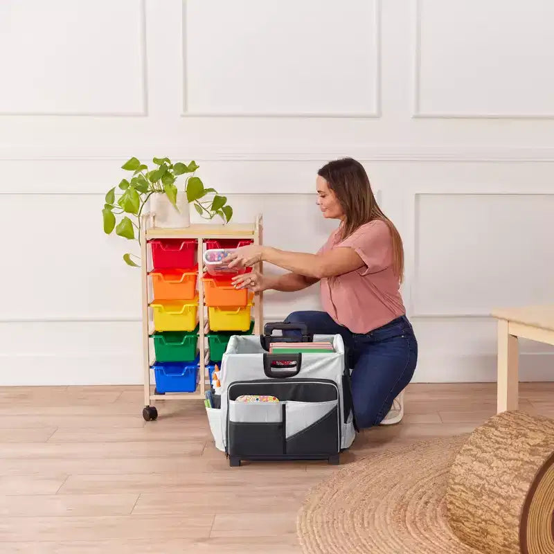 Carrello Utility Universale con Borsa Organizer in Tela, Contenitore Mobile, Nero/Grigio