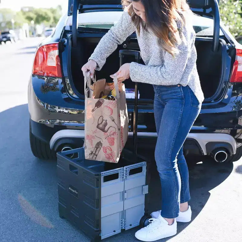 Carrello Utility Universale con Borsa Organizer in Tela, Contenitore Mobile, Nero/Grigio