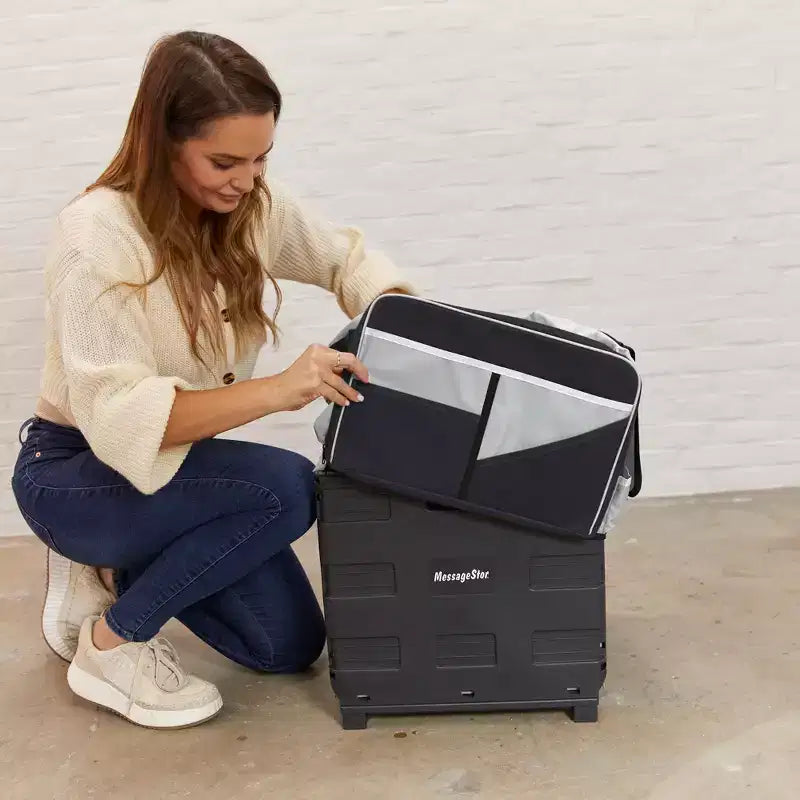 Carrello Utility Universale con Borsa Organizer in Tela, Contenitore Mobile, Nero/Grigio