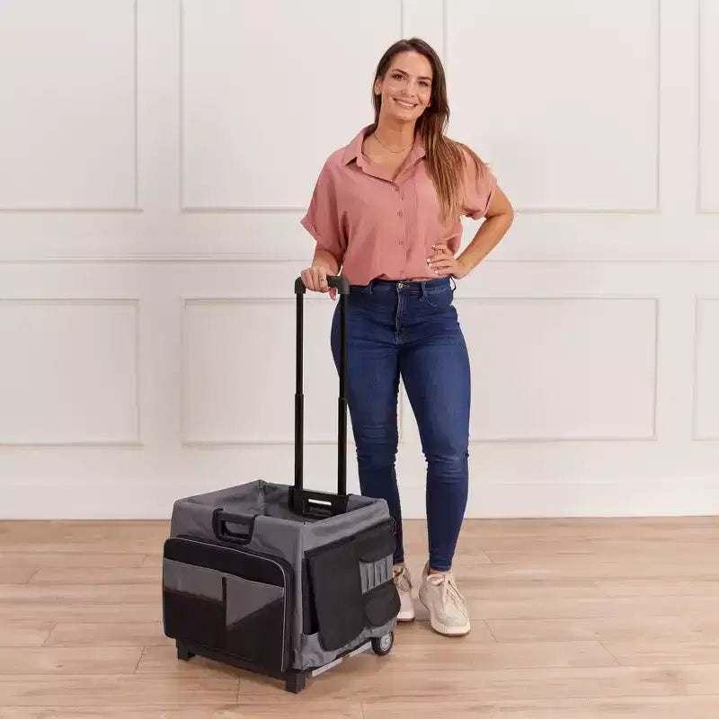 Carrello Utility Universale con Borsa Organizer in Tela, Contenitore Mobile, Nero/Grigio