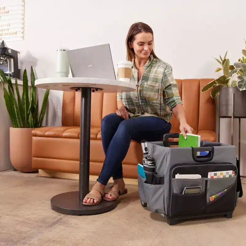 Carrello Utility Universale con Borsa Organizer in Tela, Contenitore Mobile, Nero/Grigio