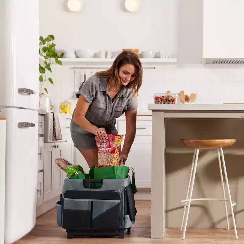 Carrello Utility Universale con Borsa Organizer in Tela, Contenitore Mobile, Nero/Grigio